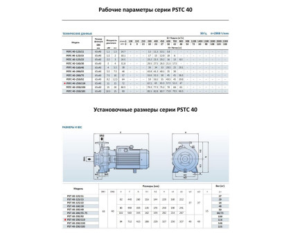 Насосный агрегат моноблочный фланцевый PURITY PSTC 40-250/110