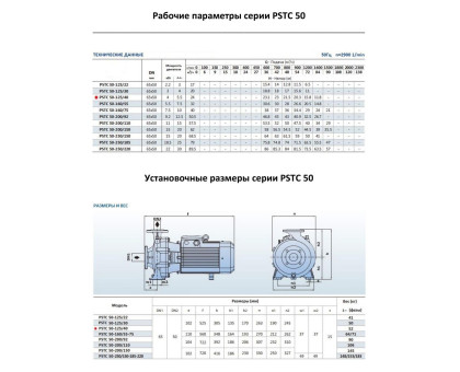 Насосный агрегат моноблочный фланцевый PURITY PSTC 50-125/40